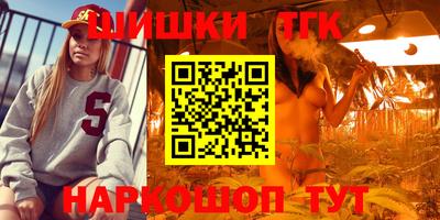 винт Будённовск