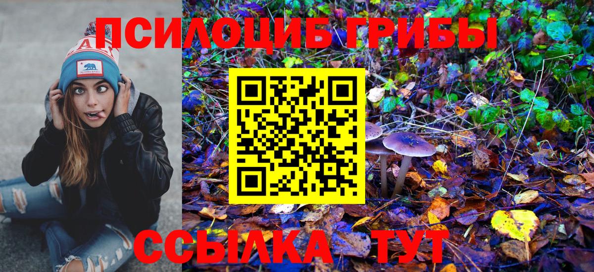 купить  цена  Вход с VPN  Ноябрьск  Псилоцибиновые грибы Magic Shrooms 